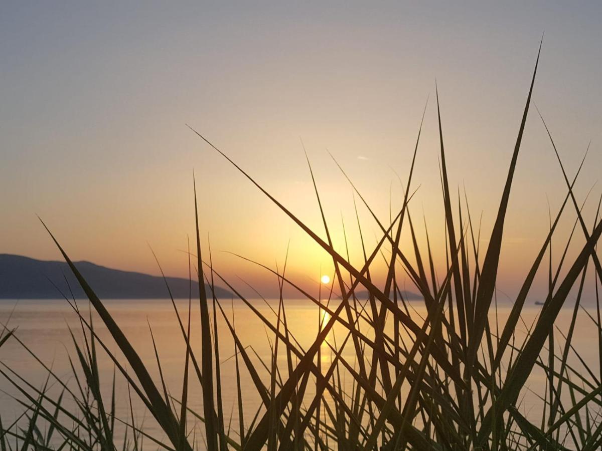 I Due Ciuchini Sardinia Apartment Сасари Екстериор снимка